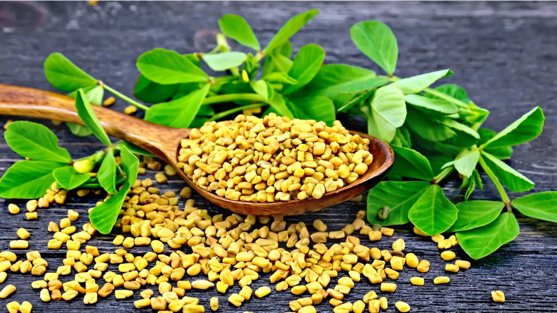 6 Health Benefits of Fenugreek Supplements