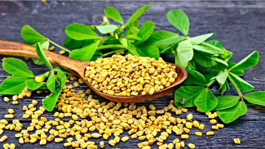6 Health Benefits of Fenugreek Supplements