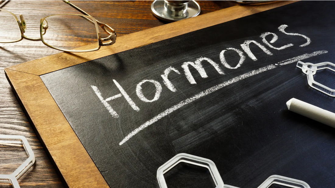 The war between your Hormones & Environment - Gencleus