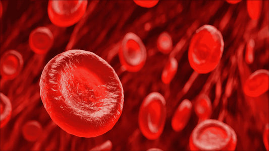  How to Increase Platelets Count Naturally: Platelet Count Guide - Gencleus