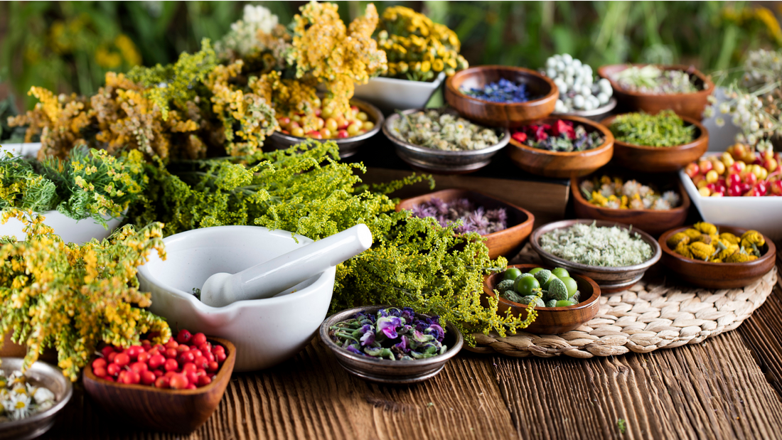   Benefits of Herbal Remedies