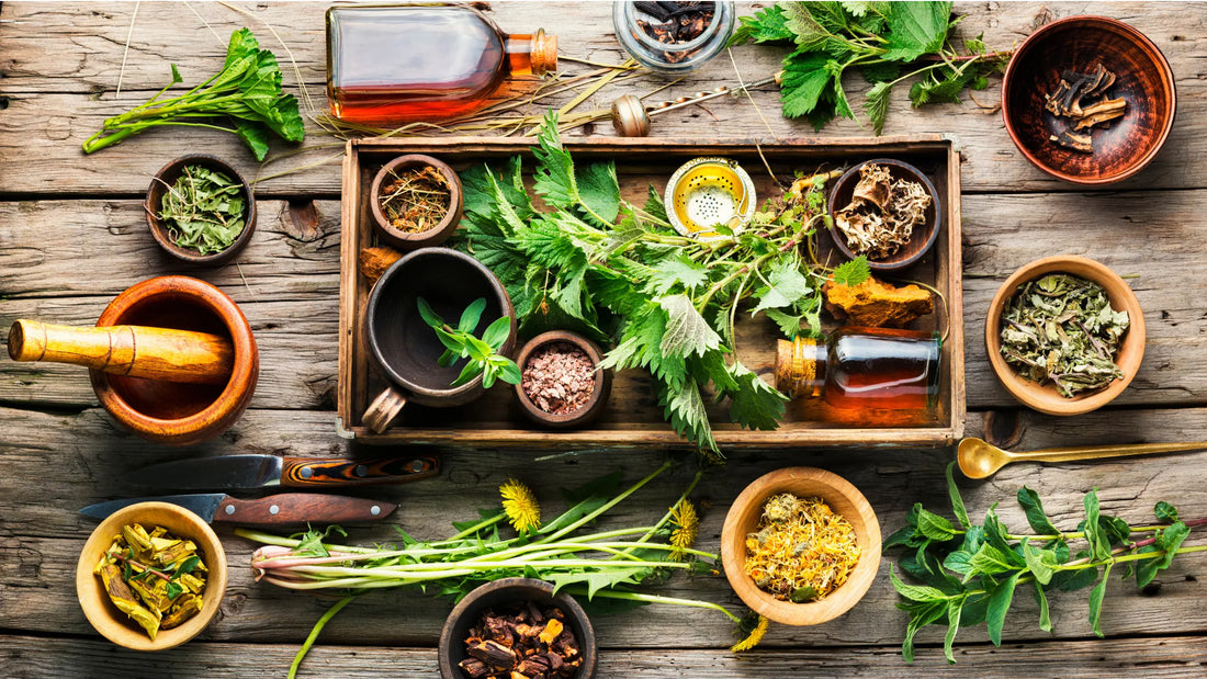 The Benefits of Nutraceuticals for a Healthier Lifestyle - Gencleus