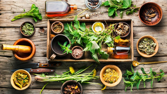 The Benefits of Nutraceuticals for a Healthier Lifestyle - Gencleus